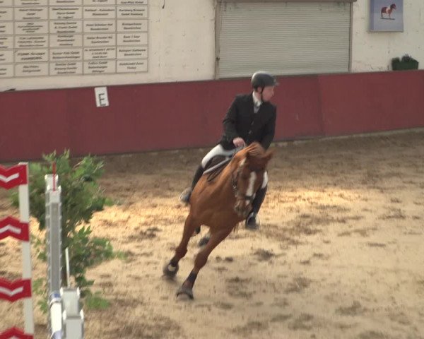 Reitturnier Neunkirchen-Furpach 2018