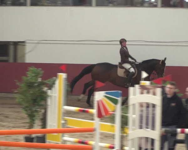 Reitturnier Neunkirchen-Furpach 2018