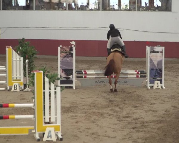 Reitturnier Neunkirchen-Furpach 2018