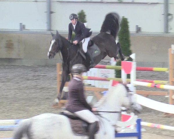 Reitturnier Waghäusel-Wiesental 2018