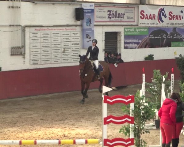 Reitturnier Neunkirchen-Furpach 2018
