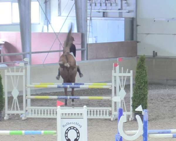Reitturnier Waghäusel-Wiesental 2018