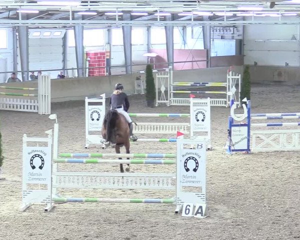 Reitturnier Waghäusel-Wiesental 2018