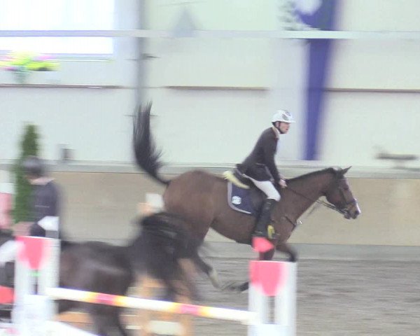 Reitturnier Waghäusel-Wiesental 2018