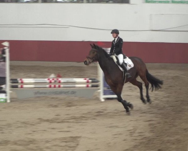 Reitturnier Neunkirchen-Furpach 2018
