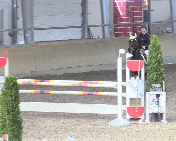 Reitturnier Waghäusel-Wiesental 2018