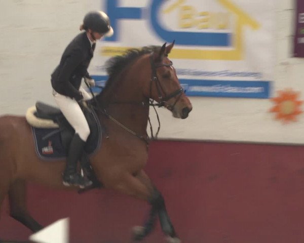 Reitturnier Neunkirchen-Furpach 2018