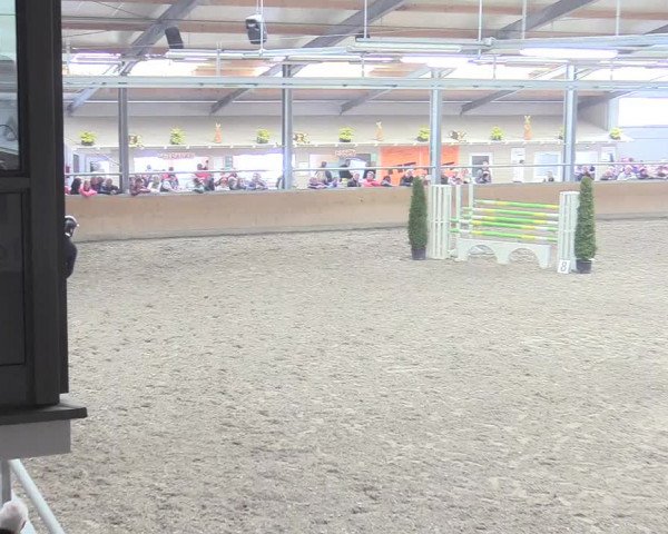 Reitturnier Waghäusel-Wiesental 2018