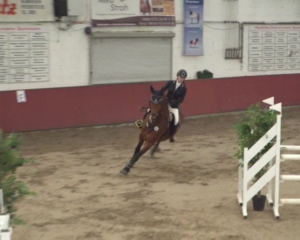 Reitturnier Neunkirchen-Furpach 2018