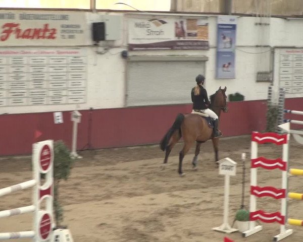 Reitturnier Neunkirchen-Furpach 2018