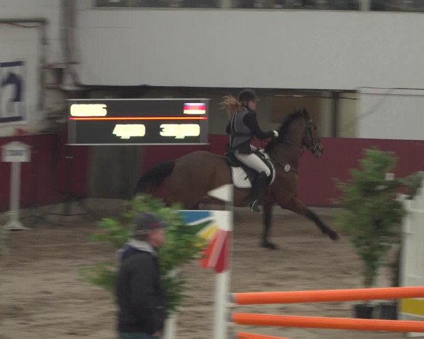Reitturnier Neunkirchen-Furpach 2018