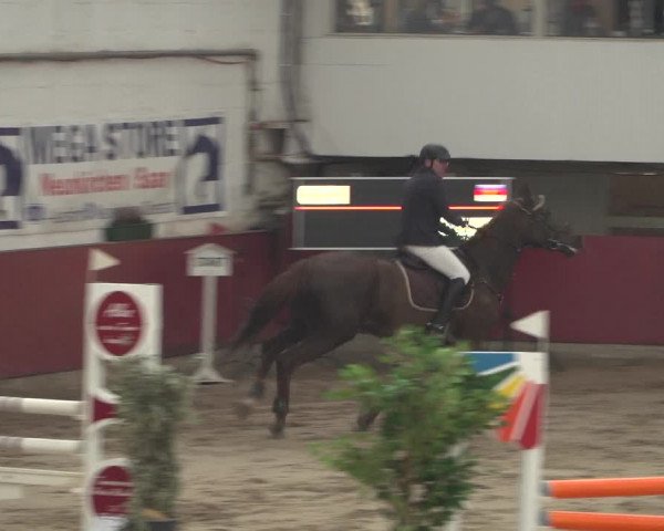 Reitturnier Neunkirchen-Furpach 2018