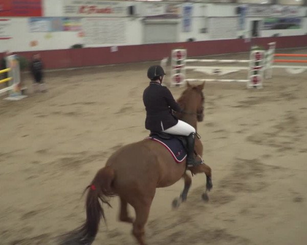Reitturnier Neunkirchen-Furpach 2018