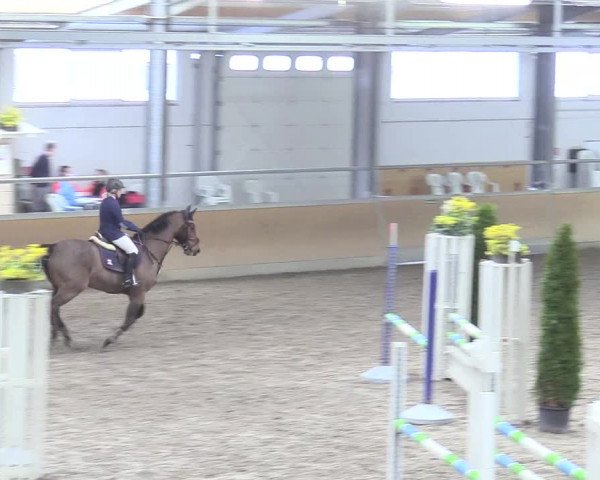 Reitturnier Waghäusel-Wiesental 2018