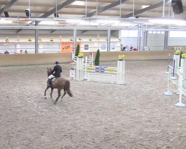 Reitturnier Waghäusel-Wiesental 2018