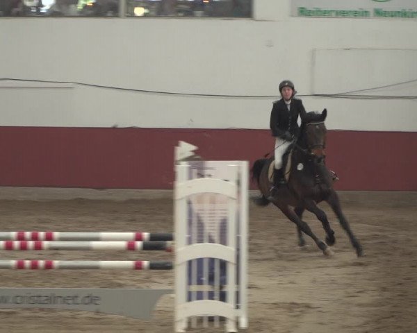 Reitturnier Neunkirchen-Furpach 2018
