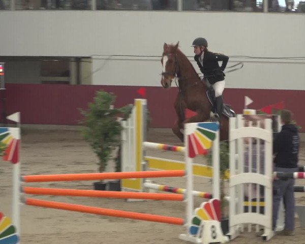 Reitturnier Neunkirchen-Furpach 2018
