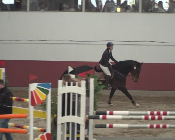Reitturnier Neunkirchen-Furpach 2018