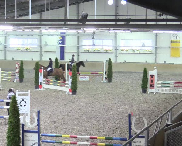 Reitturnier Waghäusel-Wiesental 2018