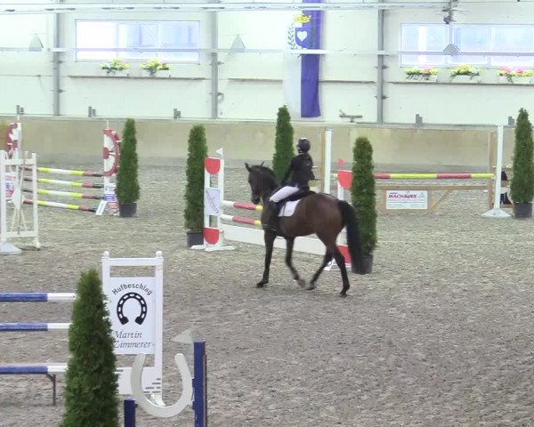 Reitturnier Waghäusel-Wiesental 2018