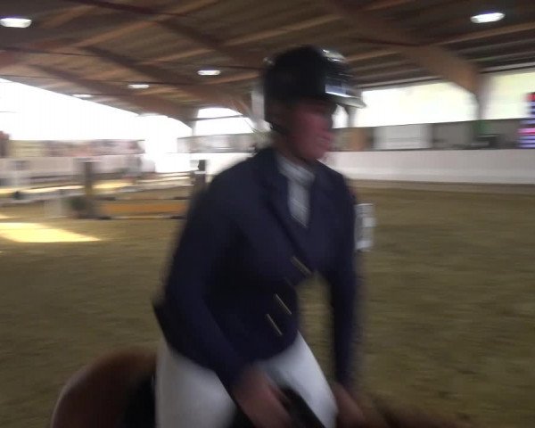 Reitturnier Lindlar-Süttenbach 2018