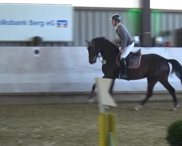 Reitturnier Lindlar-Süttenbach 2018