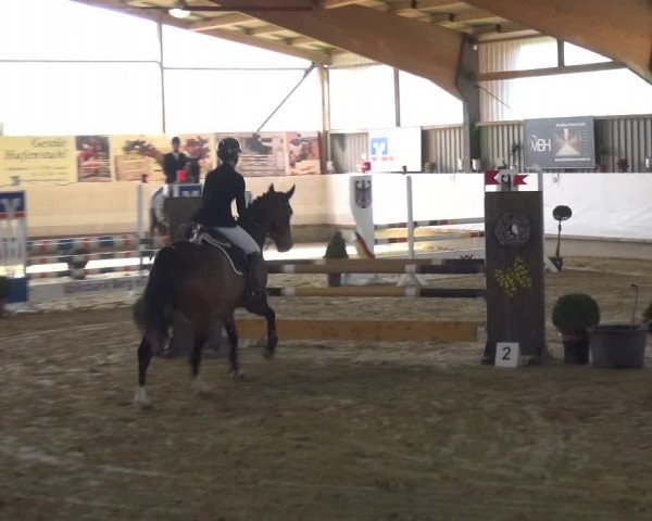 Reitturnier Lindlar-Süttenbach 2018