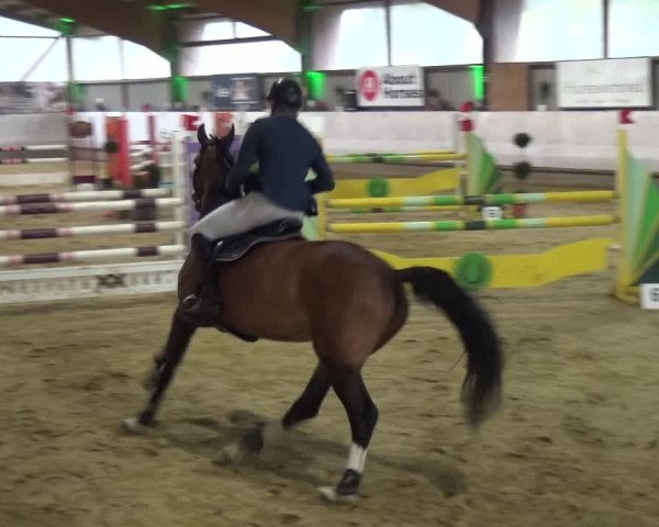 Reitturnier Lindlar-Süttenbach 2018