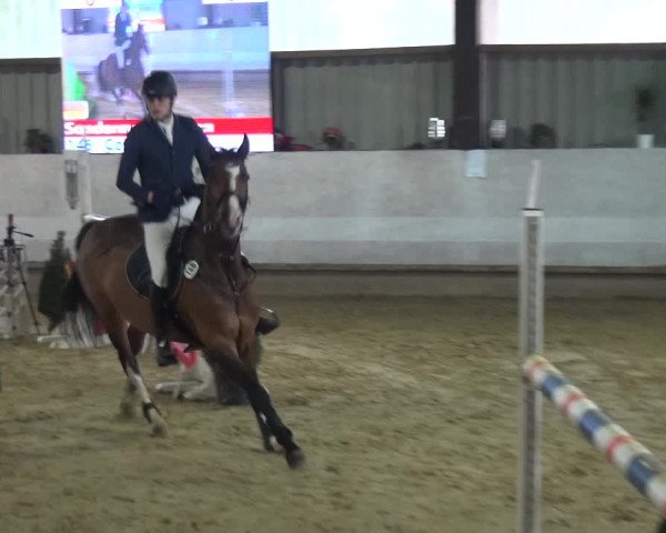 Reitturnier Lindlar-Süttenbach 2018