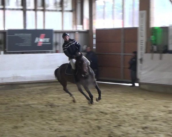 Reitturnier Lindlar-Süttenbach 2018