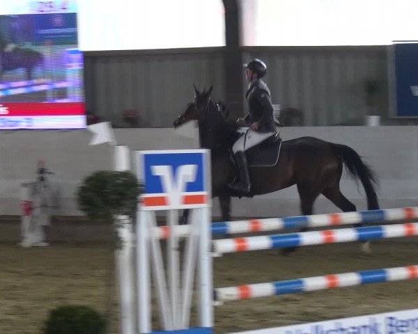 Reitturnier Lindlar-Süttenbach 2018