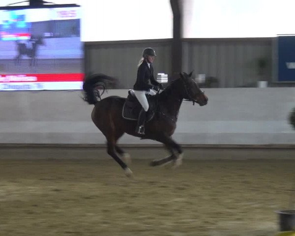 Reitturnier Lindlar-Süttenbach 2018