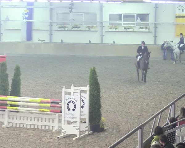 Reitturnier Waghäusel-Wiesental 2018