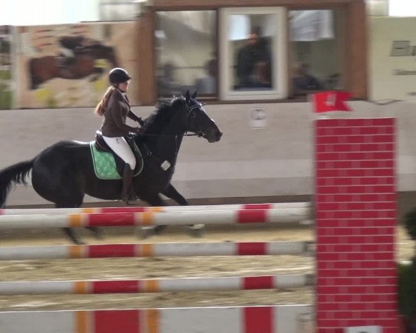 Reitturnier Lindlar-Süttenbach 2018