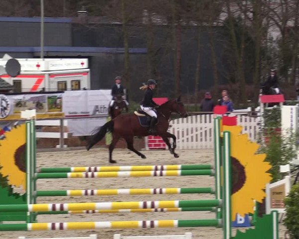 Reitturnier Schloß Holte 2018