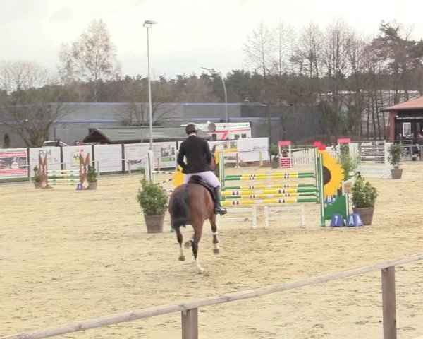 Reitturnier Schloß Holte 2018