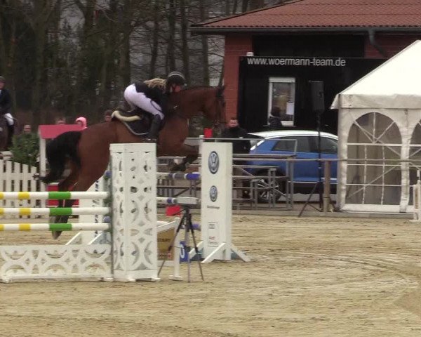 Reitturnier Schloß Holte 2018