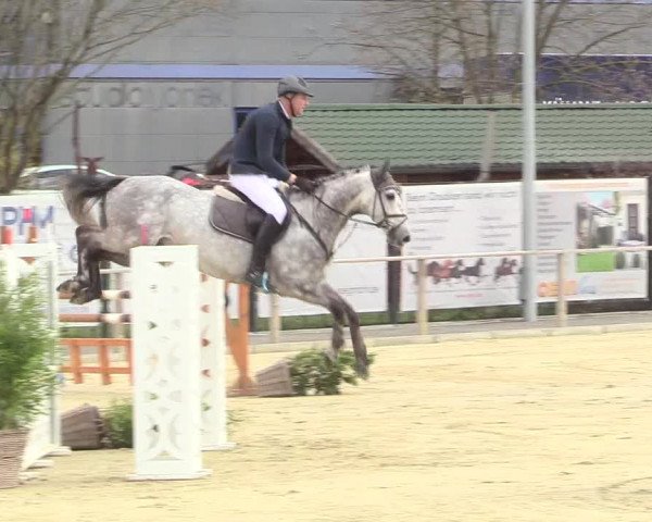 Reitturnier Schloß Holte 2018