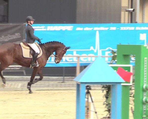 Reitturnier Schloß Holte 2018