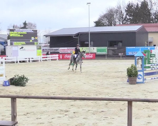 Reitturnier Schloß Holte 2018