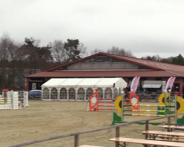 Reitturnier Schloß Holte 2018