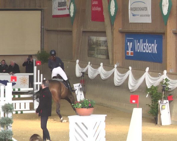 Reitturnier Friedrichshafen - Ailingen 2018
