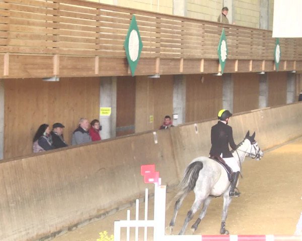Reitturnier Friedrichshafen - Ailingen 2018