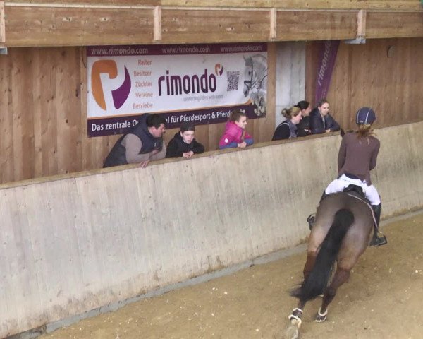 Reitturnier Friedrichshafen - Ailingen 2018