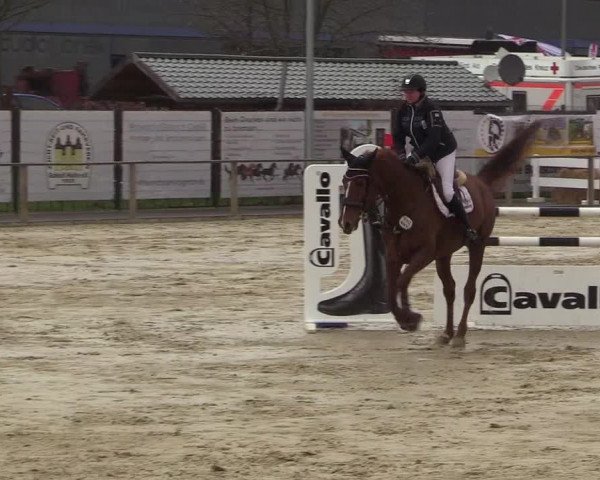 Reitturnier Schloß Holte 2018