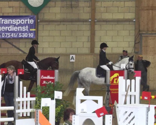 Reitturnier Friedrichshafen - Ailingen 2018
