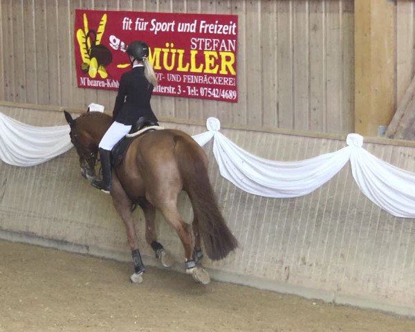 Reitturnier Friedrichshafen - Ailingen 2018