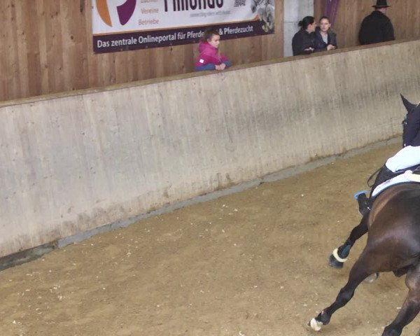 Reitturnier Friedrichshafen - Ailingen 2018