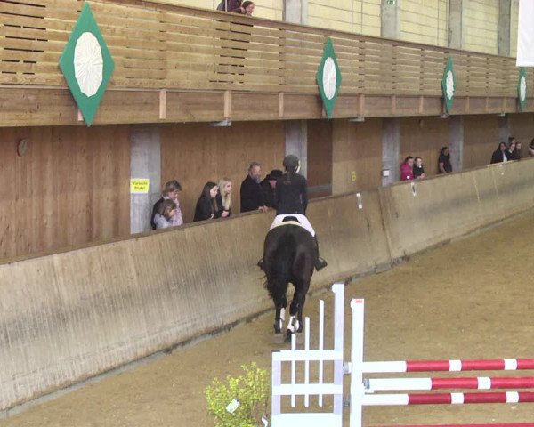 Reitturnier Friedrichshafen - Ailingen 2018