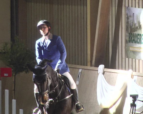 Reitturnier Friedrichshafen - Ailingen 2018